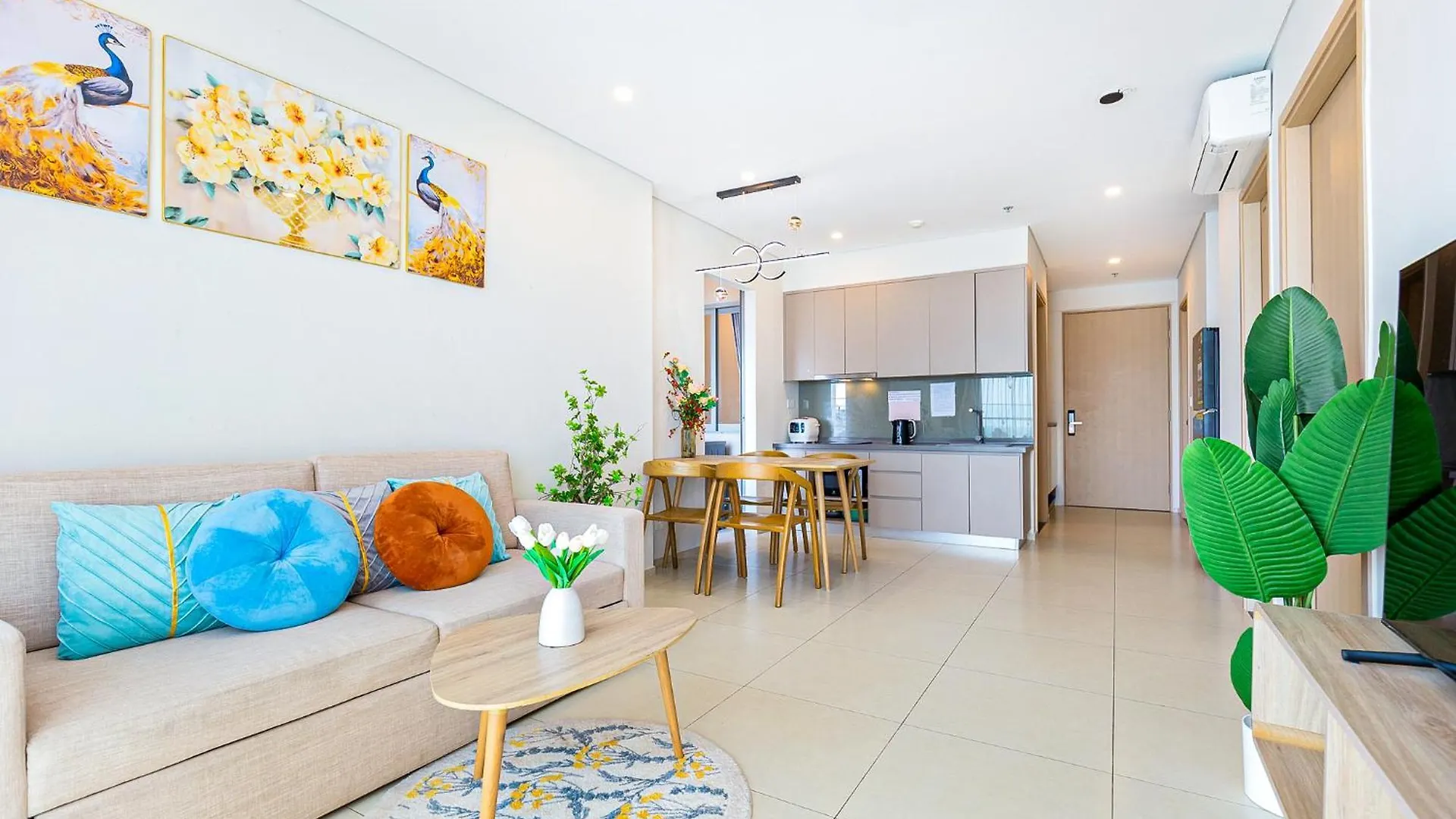 The Song Apartment Vung Tau-Oliu House