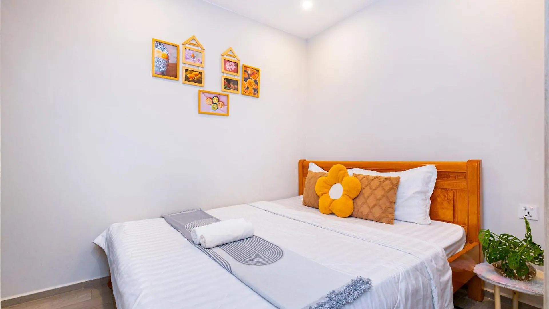 The Song Apartment Vung Tau-Oliu House