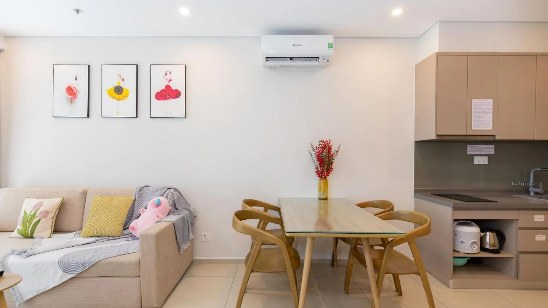 The Song Apartment Vung Tau-Oliu House